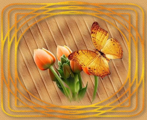 aro_butterflytulips_image.jpg