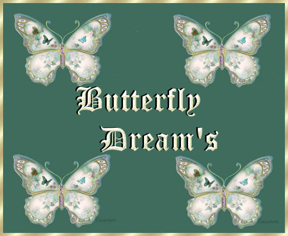 butterflydreams.jpg