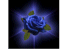 glowflower2button.gif